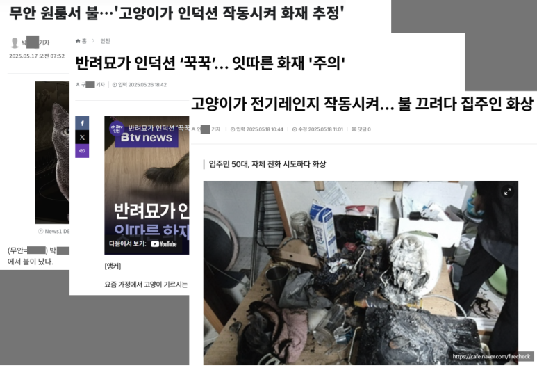 조은본주식회사 이미지