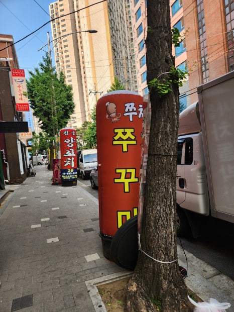 쭈차돌 사진 5