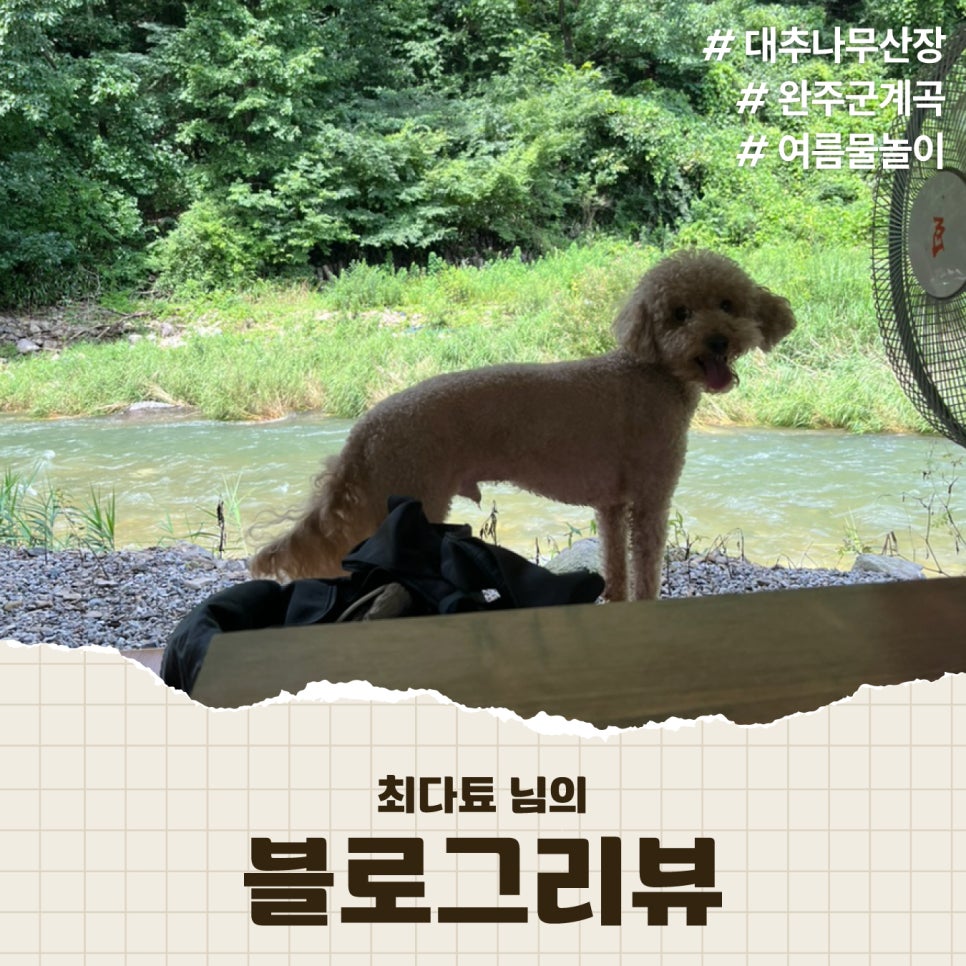 대추나무산장 이미지