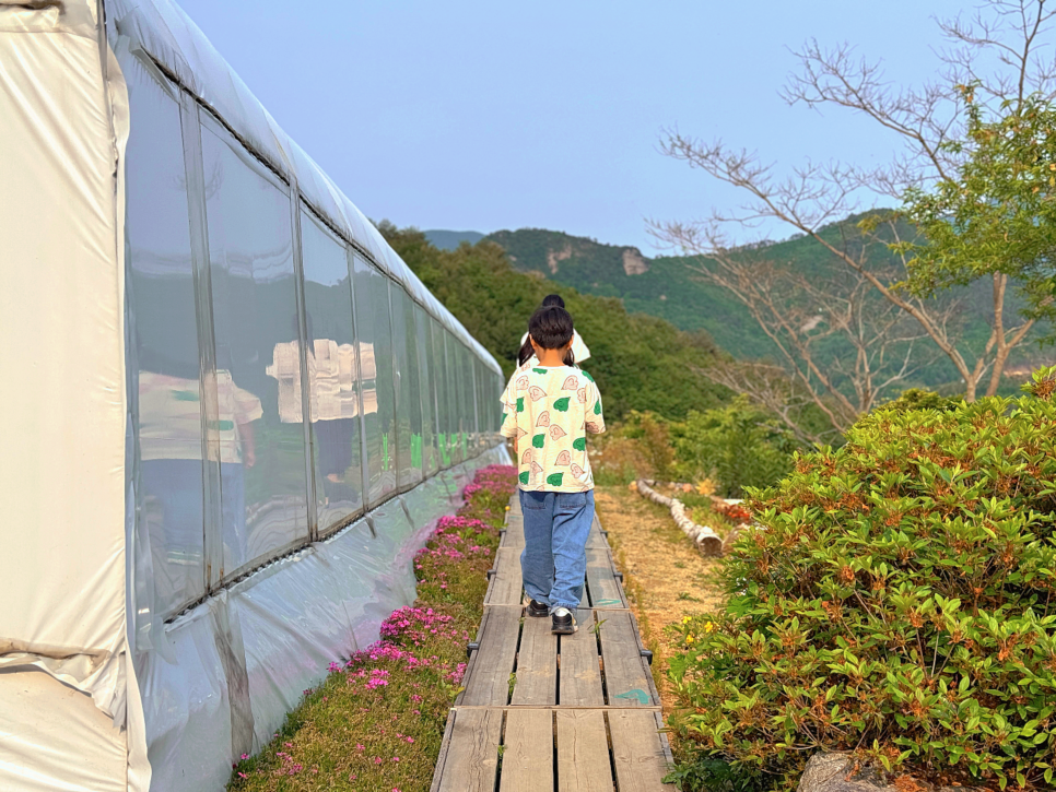 오대산힐링빌리지 이미지