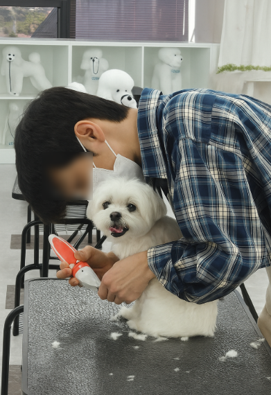 동탄 애견미용학원: 가정견 실습으로 실무 역량 강화 — 사진 2