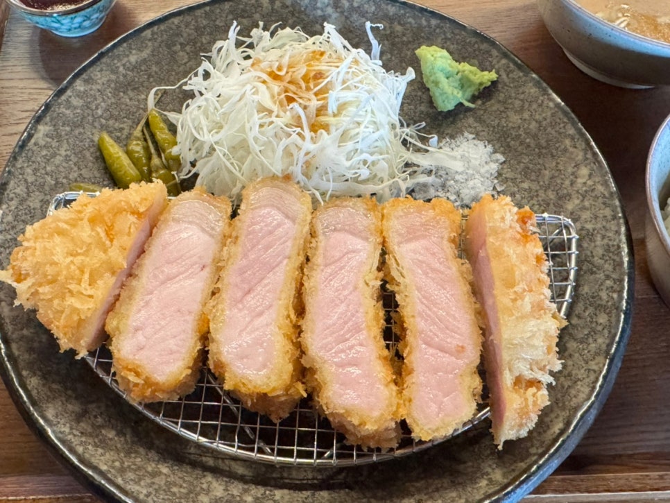 카츠닉 이미지