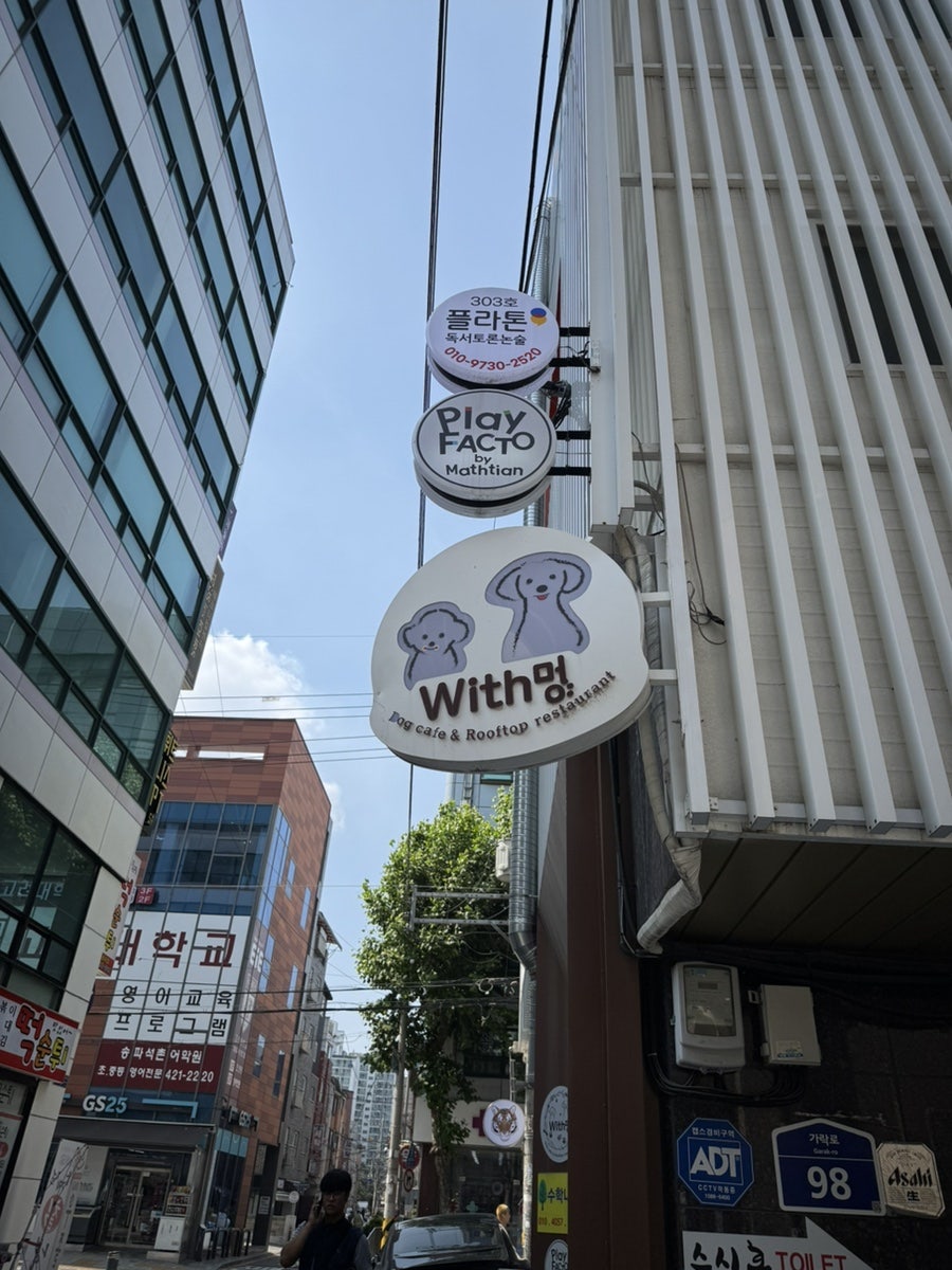 잠실 애견카페 위드멍, 루프탑 운동장 가격 정보 — 사진 5