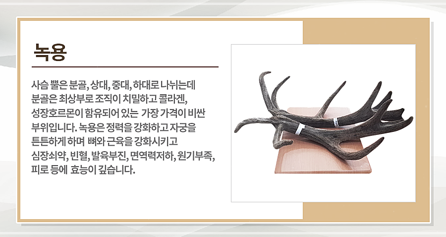 고르고 이미지