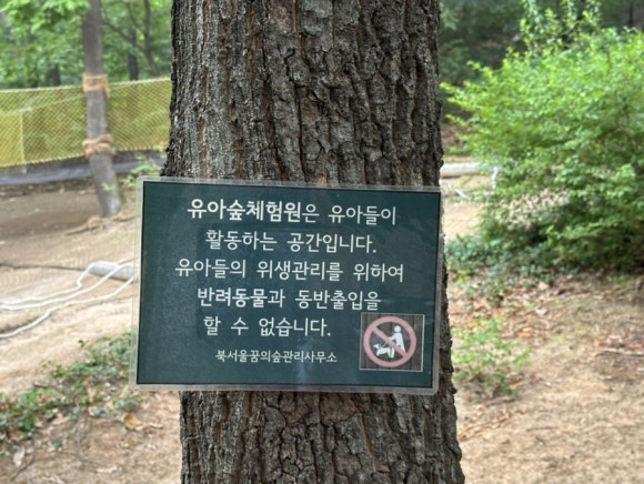 북서울꿈의숲 유아숲체험원 이미지
