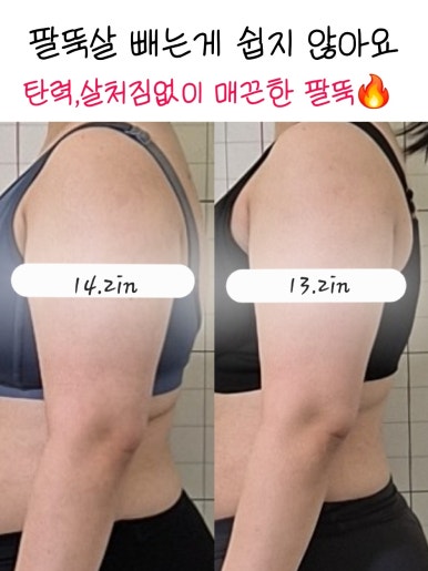 호이클럽 이미지