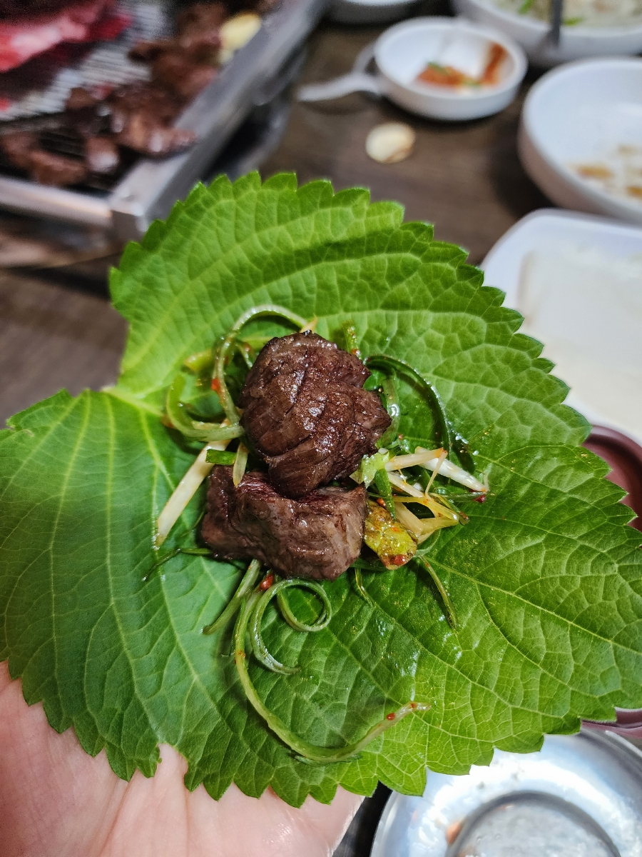 신한우시대 이미지