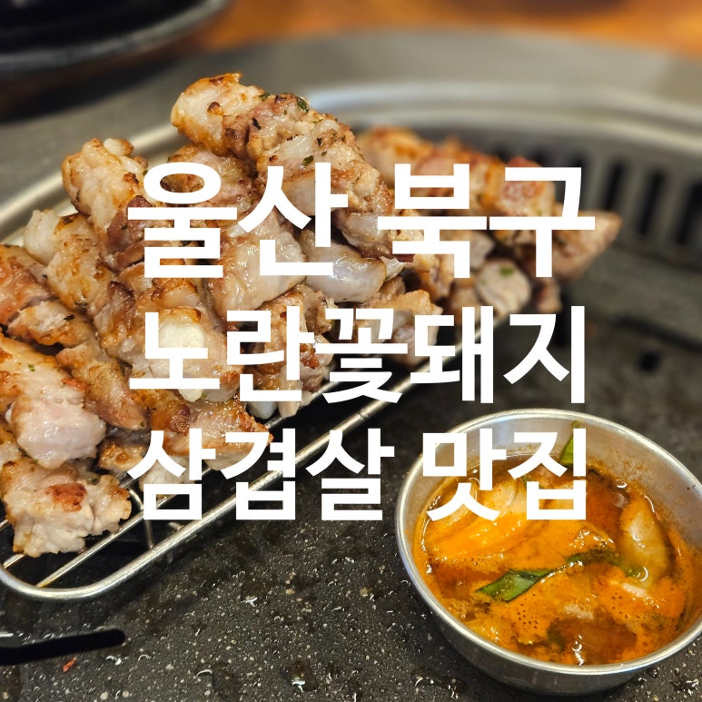 노란꽃돼지 이미지