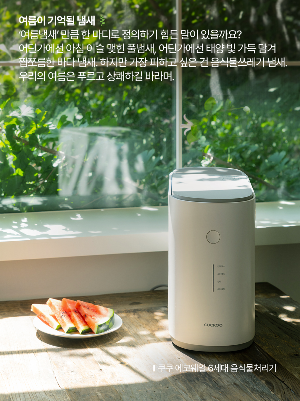 쿠레이션 이미지