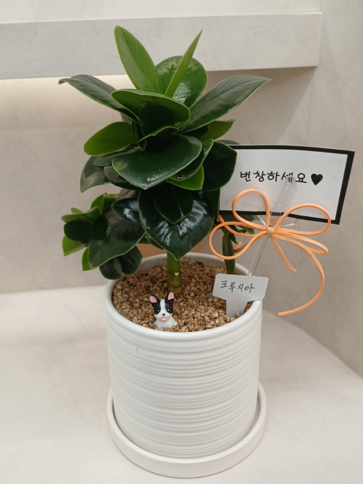 초록나라식물원 이미지