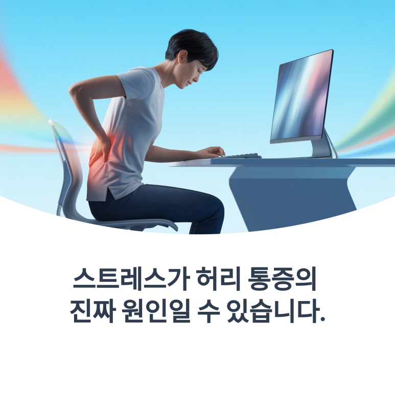 강남마디척의원 이미지