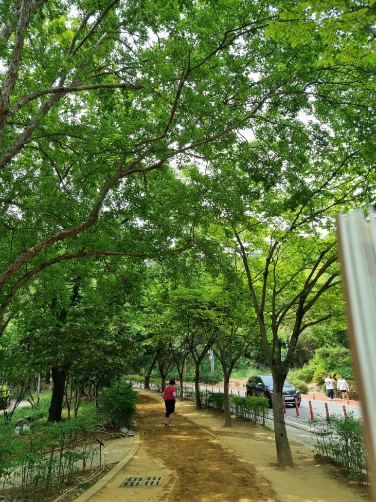 숲길 이미지