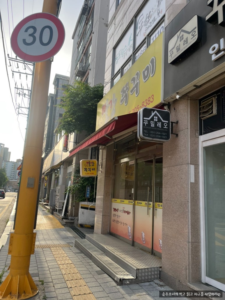 빨강쭈꾸미 사진 3