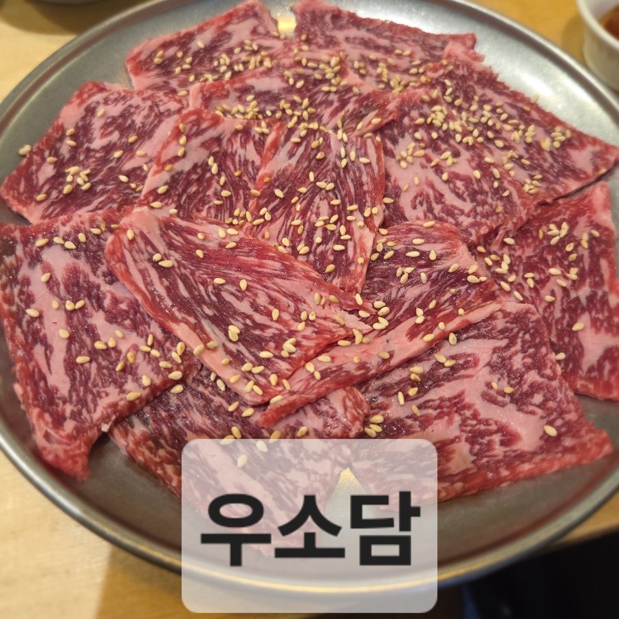 우소담 이미지