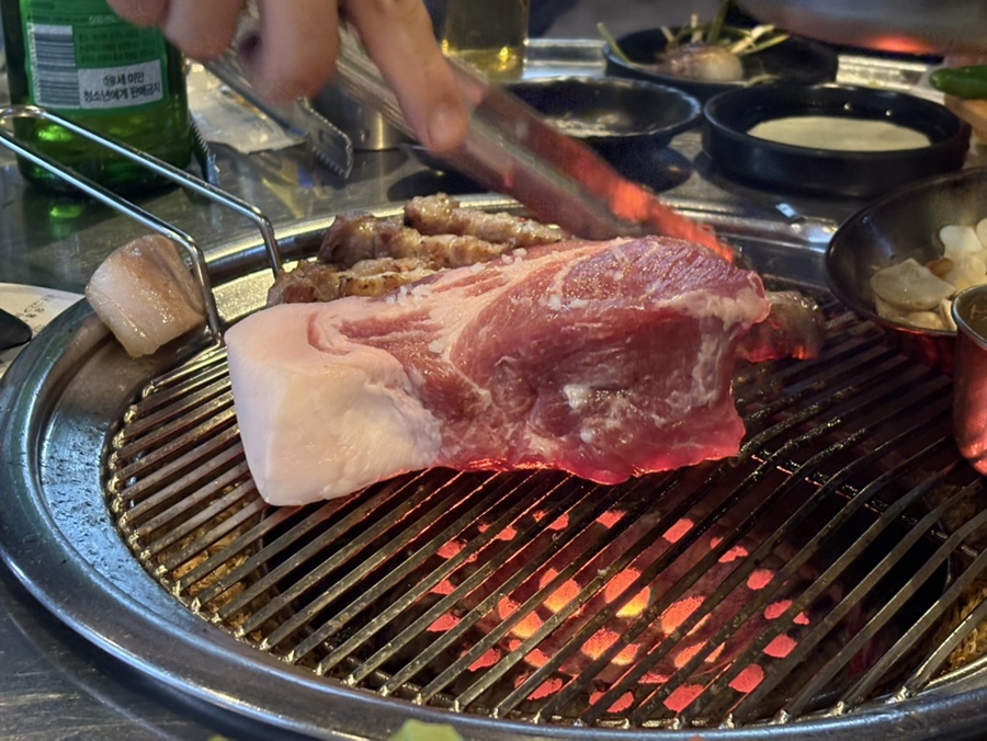 채돈이 이미지