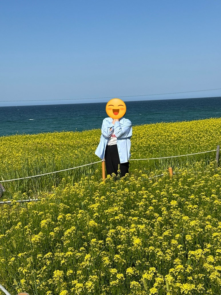 내게온 봄 이미지