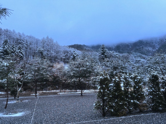 덕동리301캠핑장 이미지