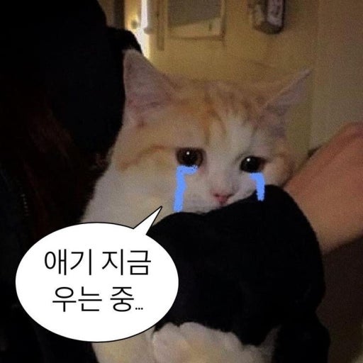 오에프 이미지