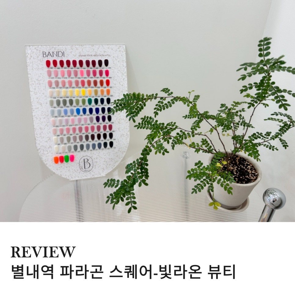 빛라온뷰티 이미지