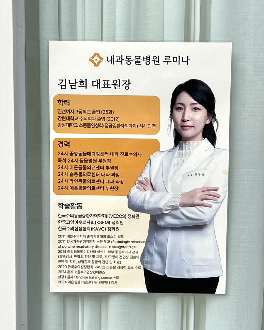 6살 강아지 건강검진 후기: 강남 루미나 내과동물병원 비용 및 결과 — 사진 3
