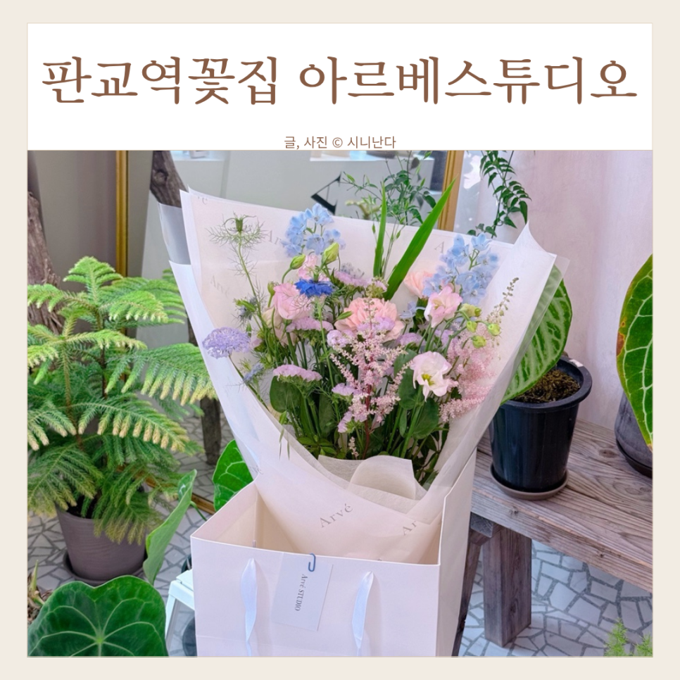아르베스튜디오 이미지