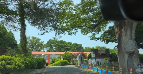 임피초등학교 이미지