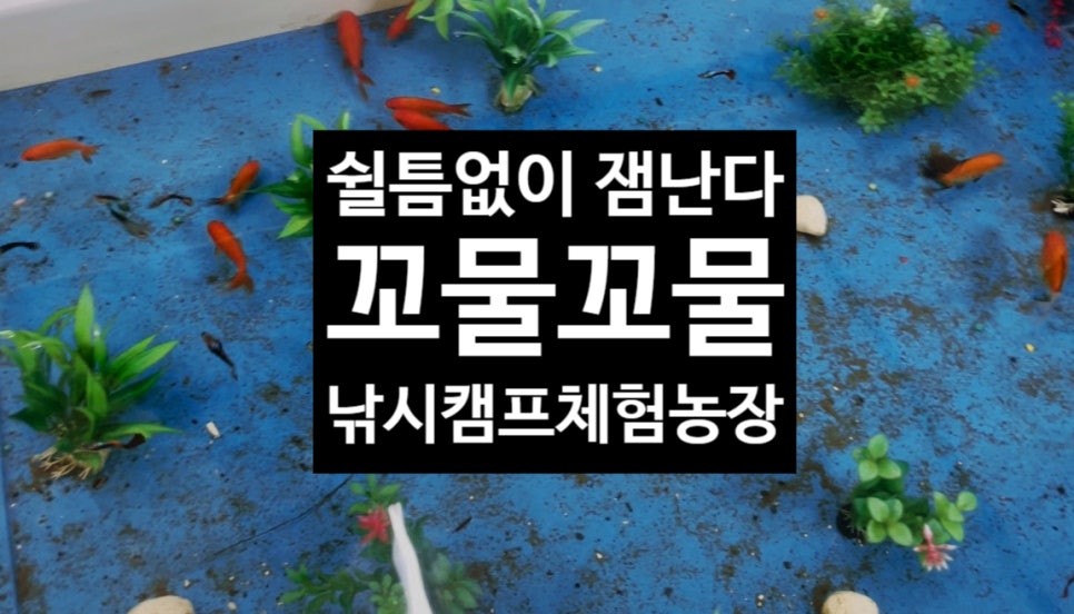 꼬물꼬물체험농장 이미지