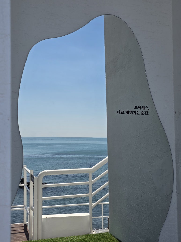 오아시스코브 이미지