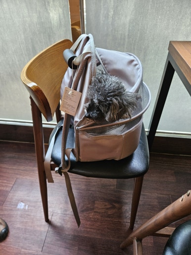 금옥식당 이미지