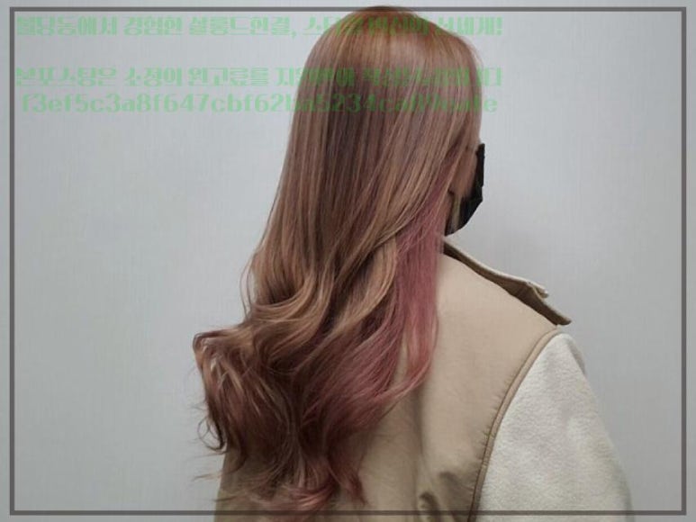 살롱드한 이미지