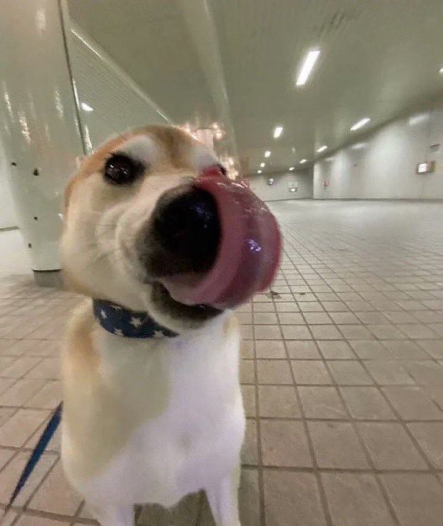 브레드영 이미지