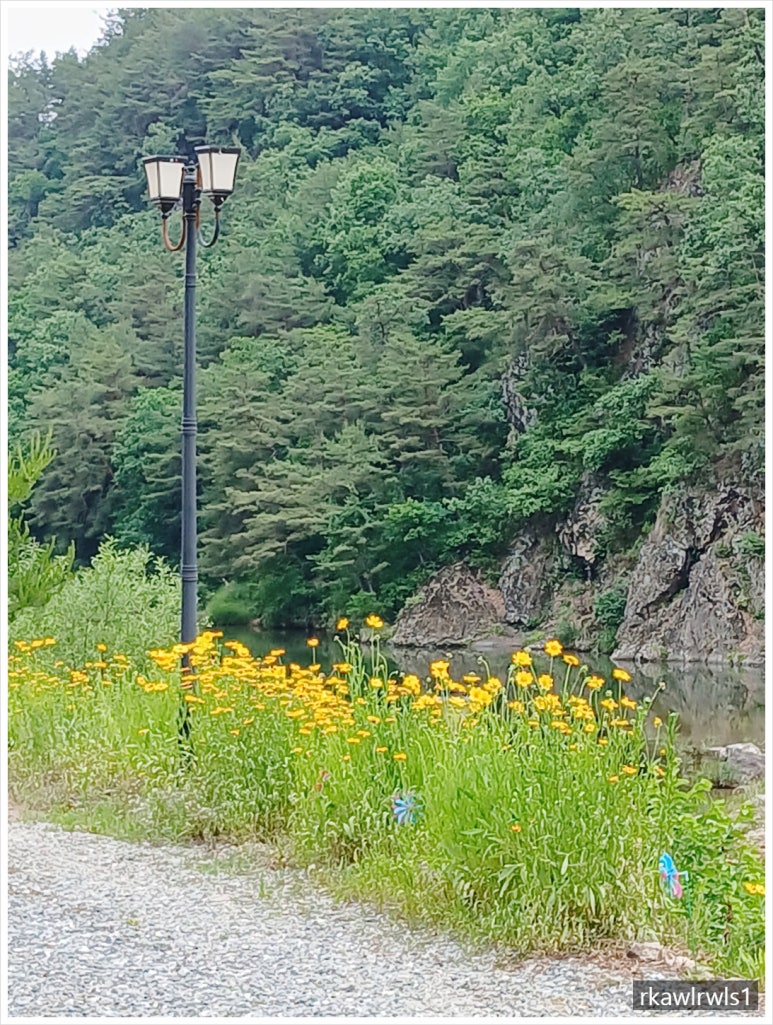행복이넘치는강펜션 이미지
