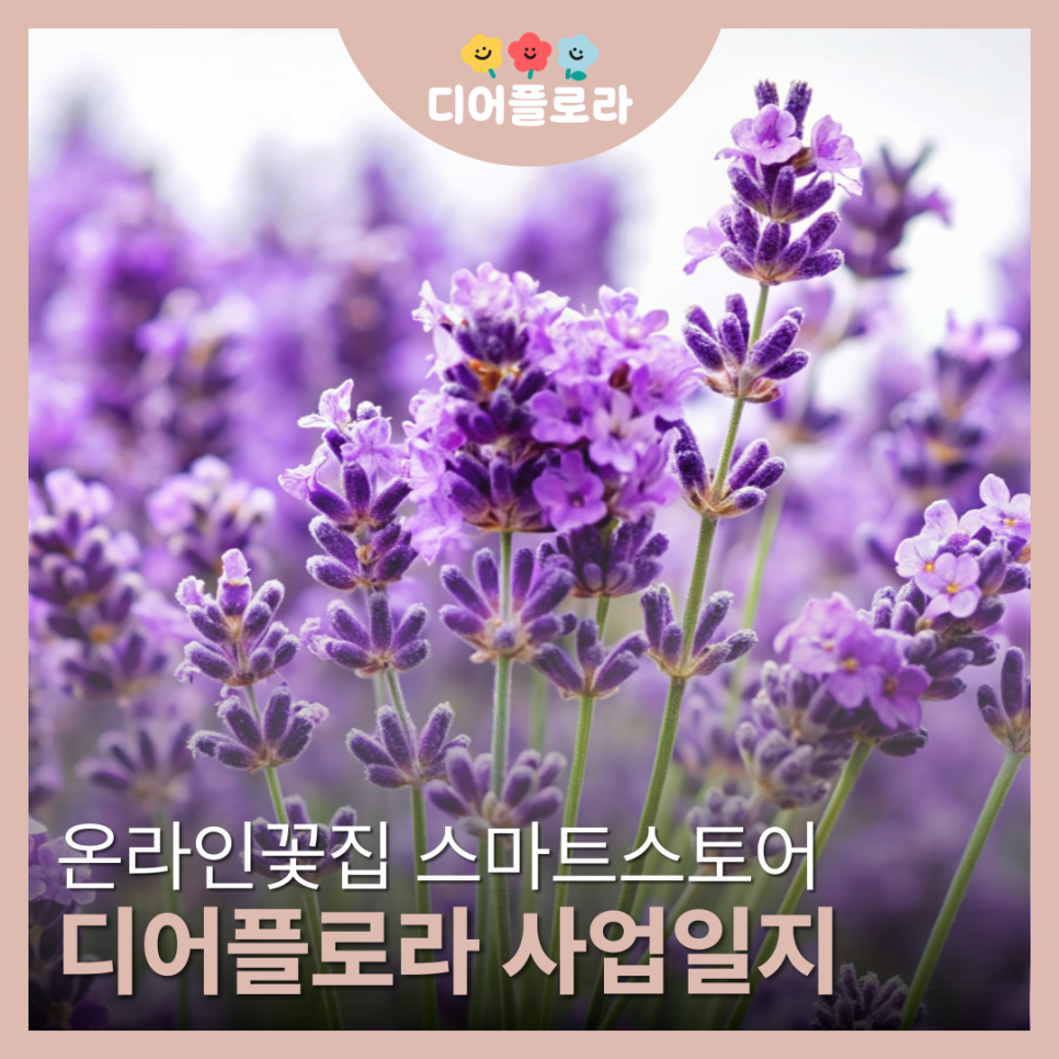 디어플로라 이미지