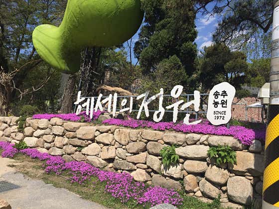 헤세의정원 이미지