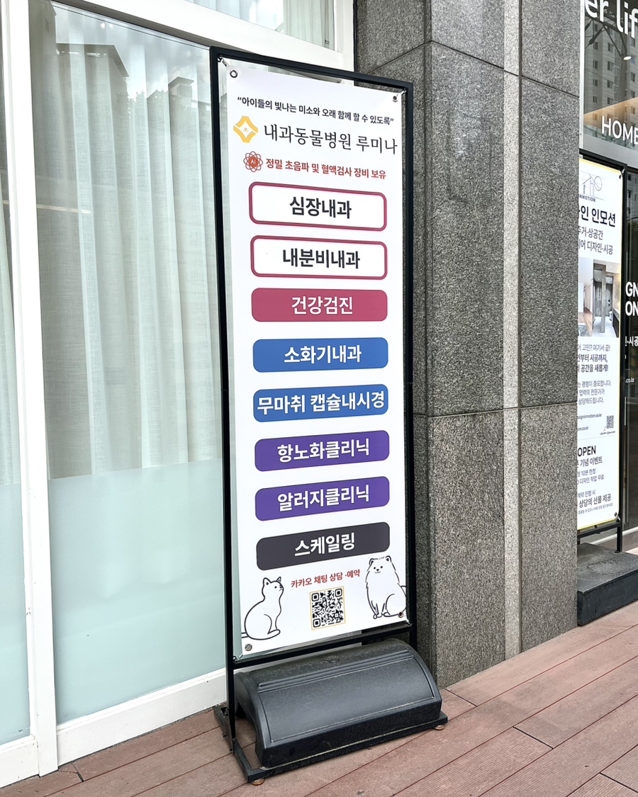 6살 강아지 건강검진 후기: 강남 루미나 내과동물병원 비용 및 결과 — 사진 4