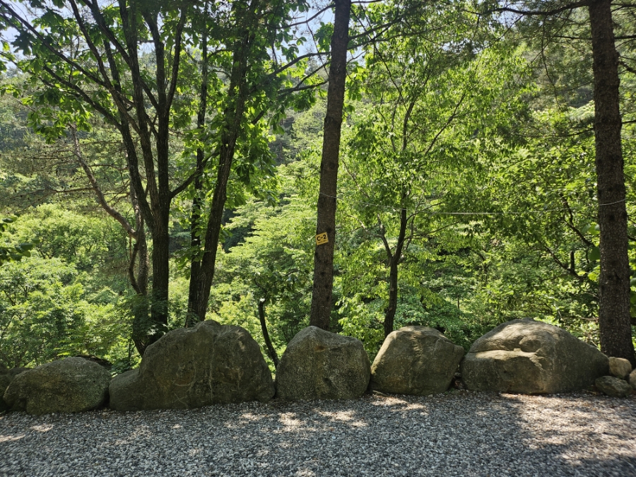 덕동리301캠핑장 이미지