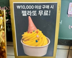 달빛 거북이 이미지