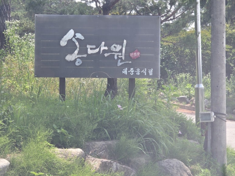 송다원 이미지