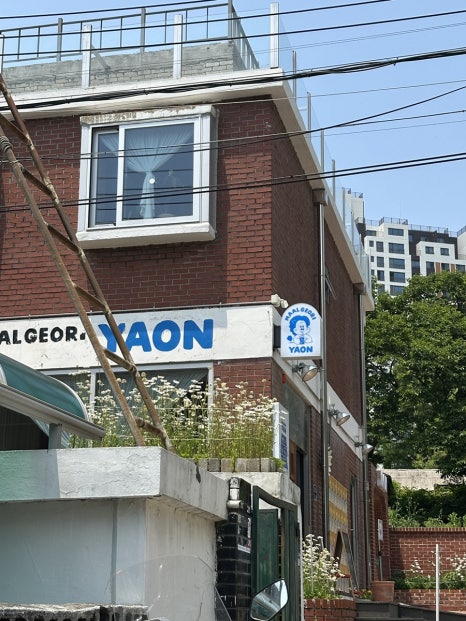 야온 이미지
