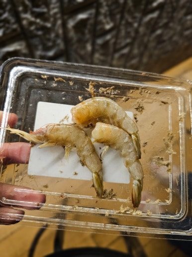 후킹 실내바다낚시 이미지