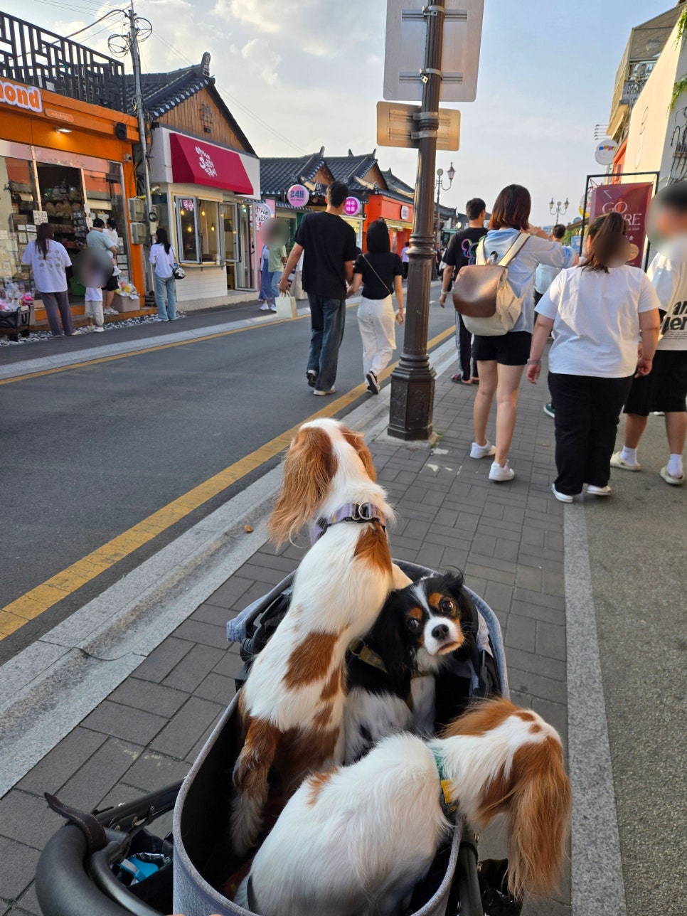 경주스낵 이미지