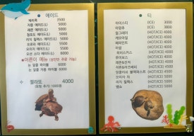 달빛 거북이 이미지