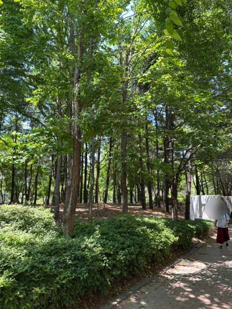 미드줄라이 이미지