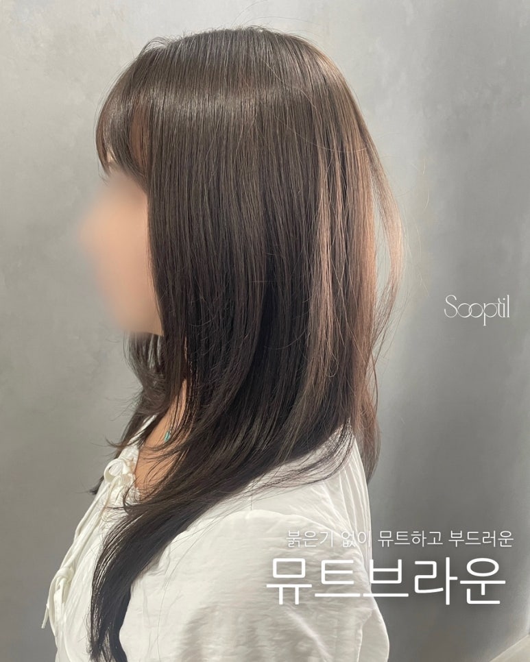 숩틸 이미지