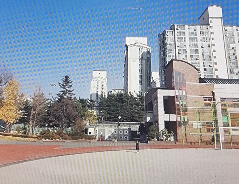 서울계남초등학교 이미지