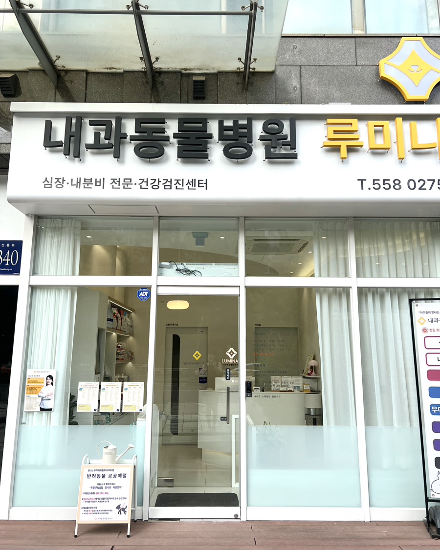 6살 강아지 건강검진 후기: 강남 루미나 내과동물병원 비용 및 결과 — 사진 5