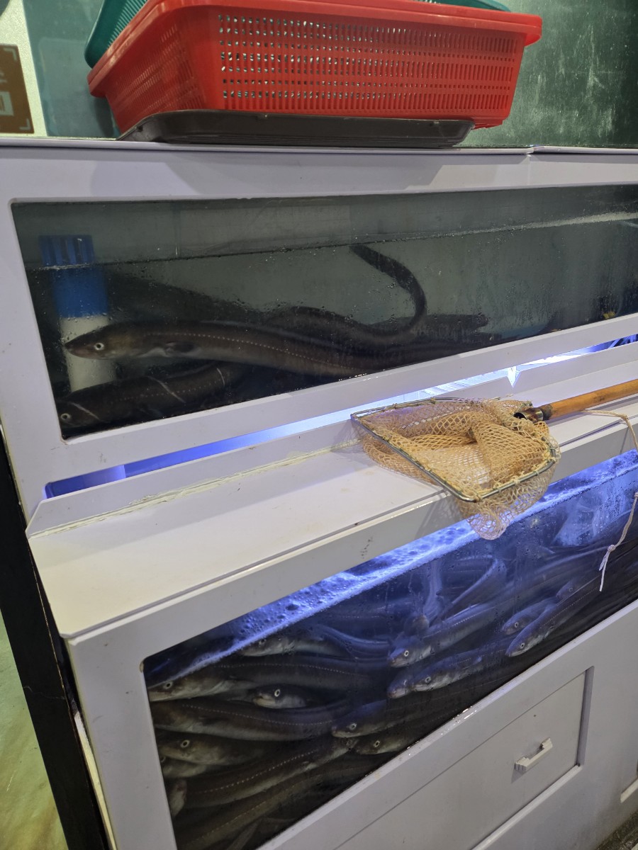 덕이네서장어굽자 이미지