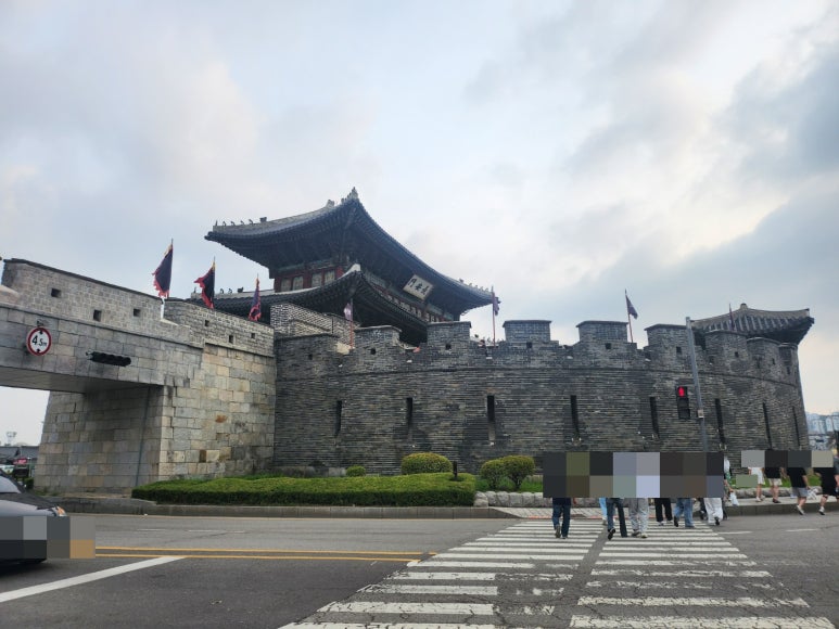 선재네 이미지