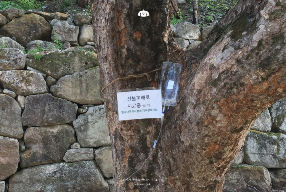 (주)소적두 농업회사법인 이미지