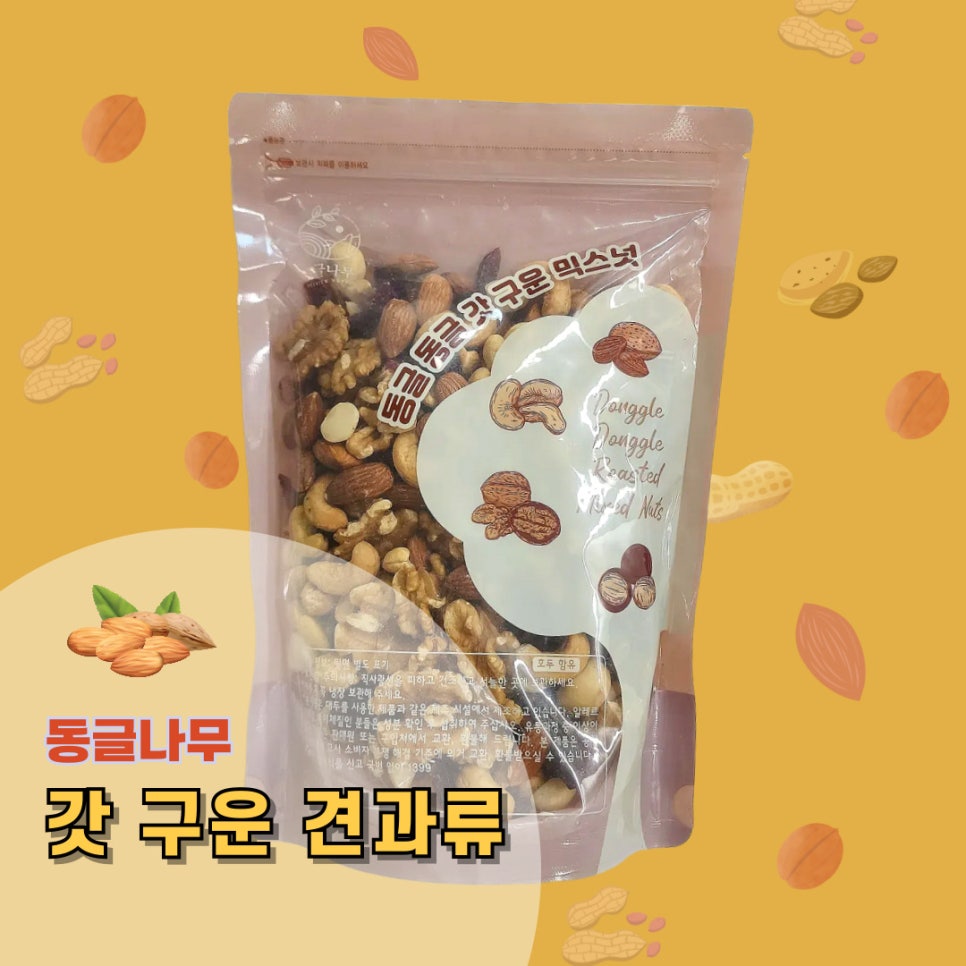 동글나무 이미지